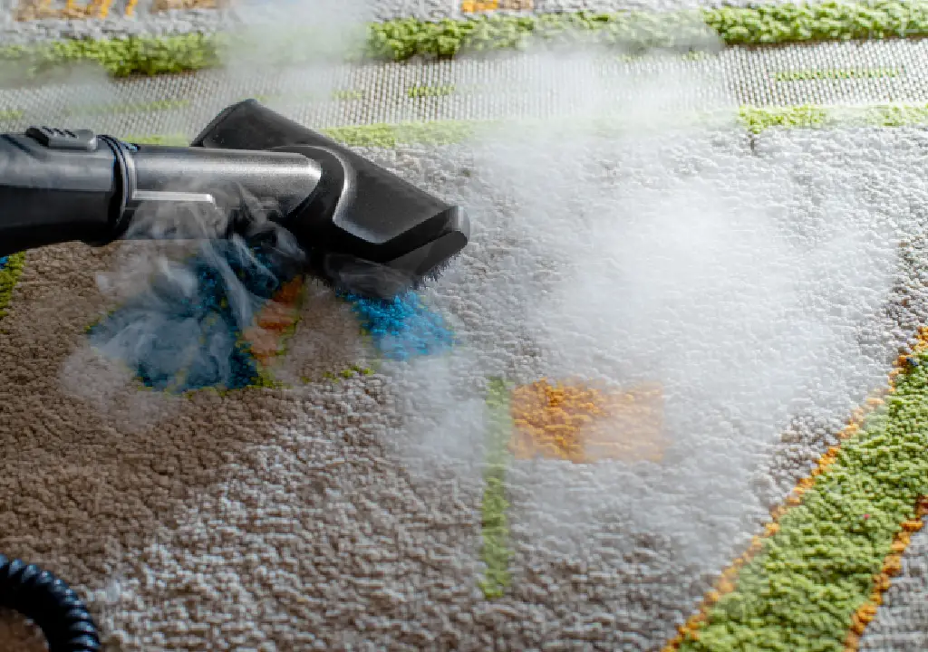 Carpet Cleaning service