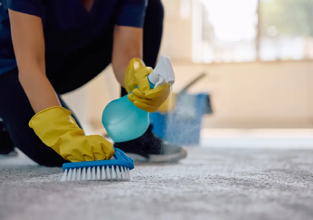 Carpet Cleaning